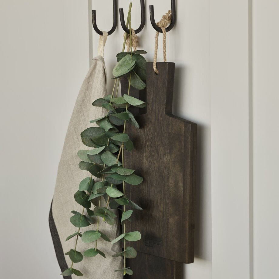 Mr Plant Eucalyptus