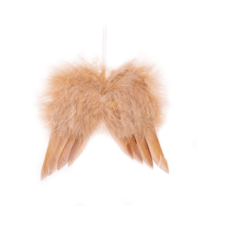 Holmen Wings