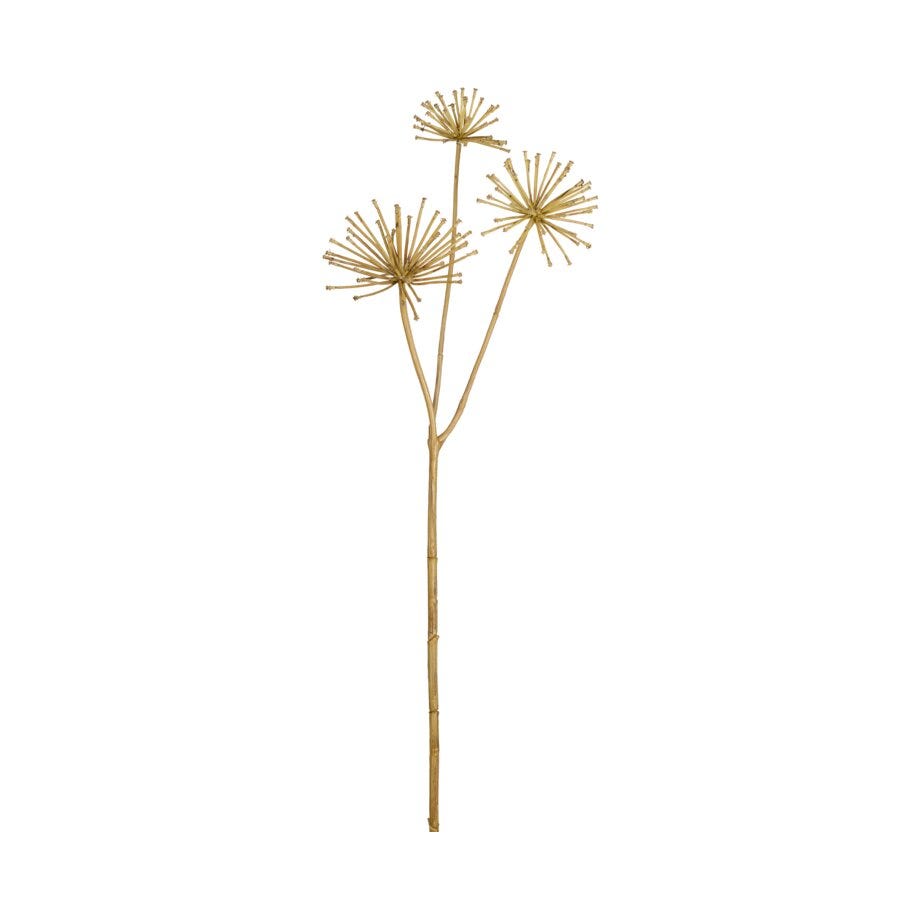 Mr Plant Allium