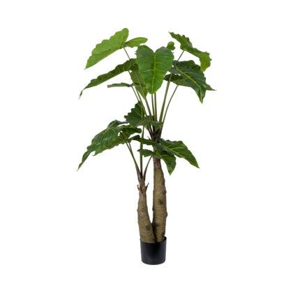Alocasia kunstig plante H150