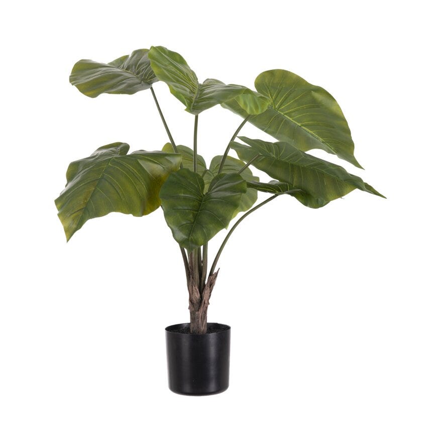 Mr Plant ALOCASIA Kunstig plante H60 cm i Grønn