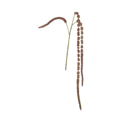 Amaranthus kunstig strå H55