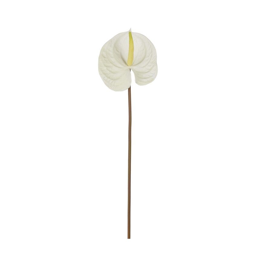 ANTHURIUM Kunstig blomst H70 cm i Beige/natur