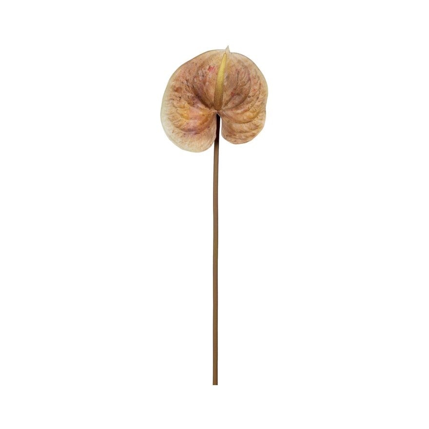 ANTHURIUM Kunstig blomst H70 cm i Beige/natur