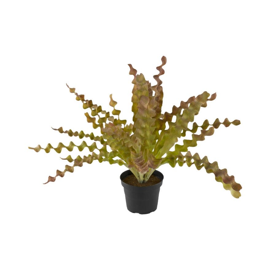 ASPLENIUM Kunstig plante H34 cm i Grønn