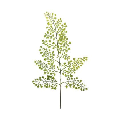 Asplenium kunstig blomst H60