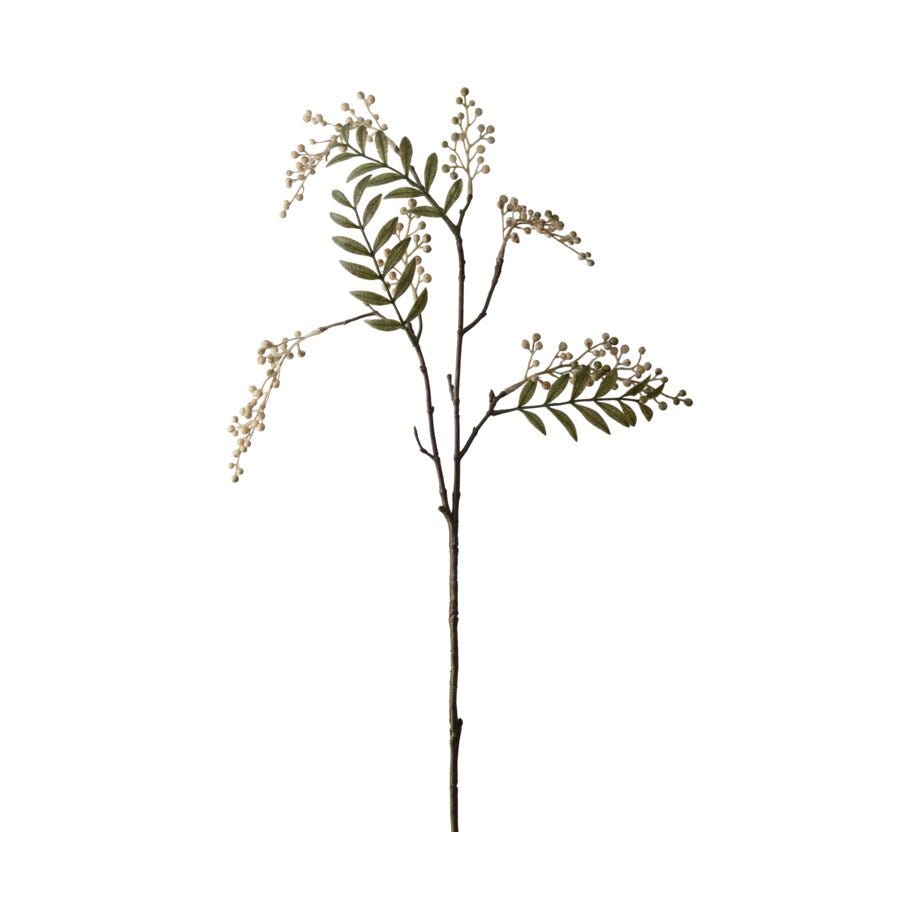 Mr Plant Bærkvist