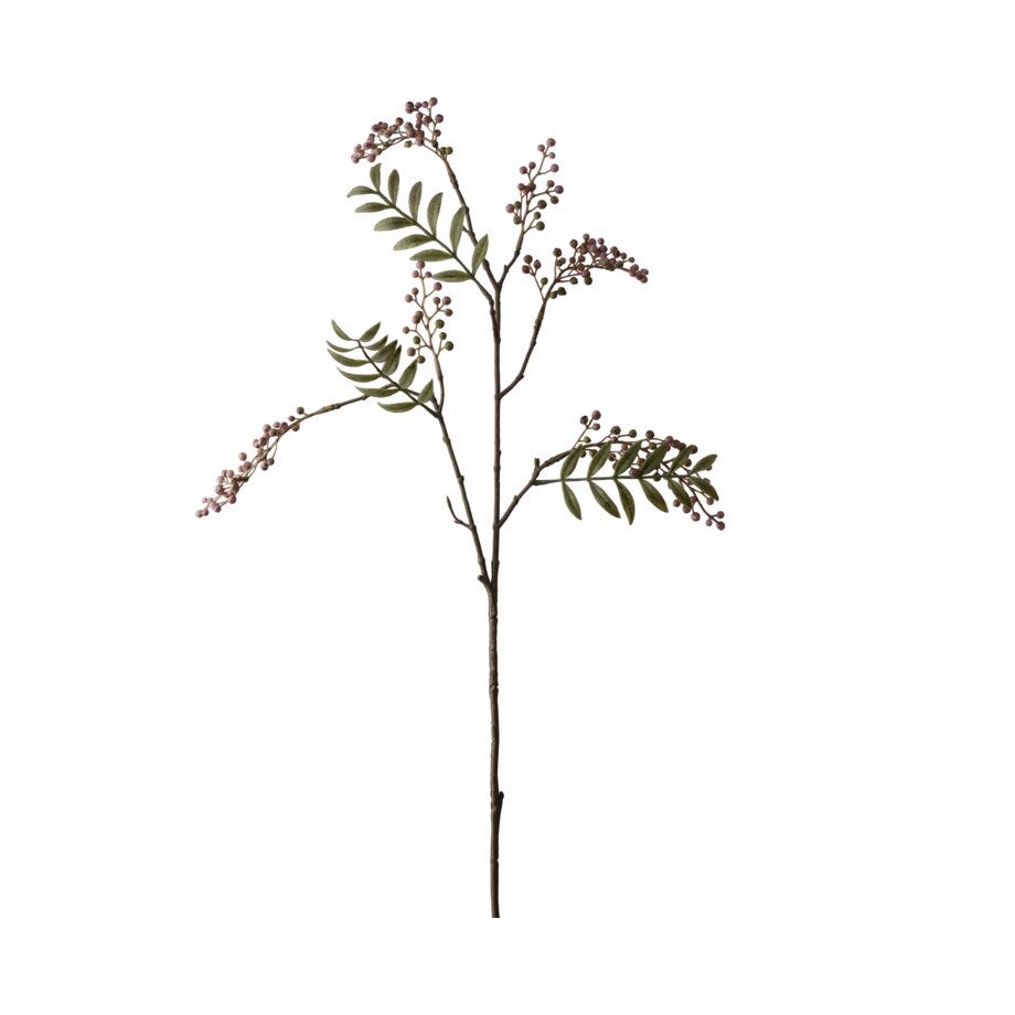 Mr Plant Bærkvist