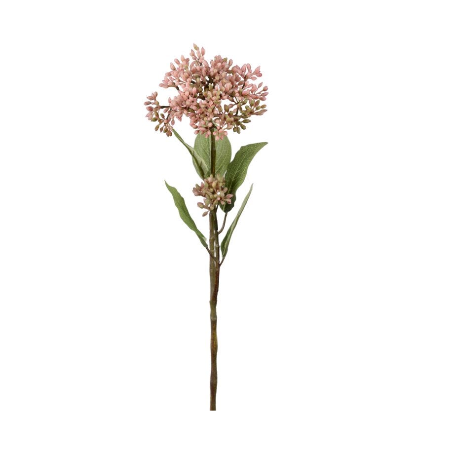 Mr Plant Bærkvist