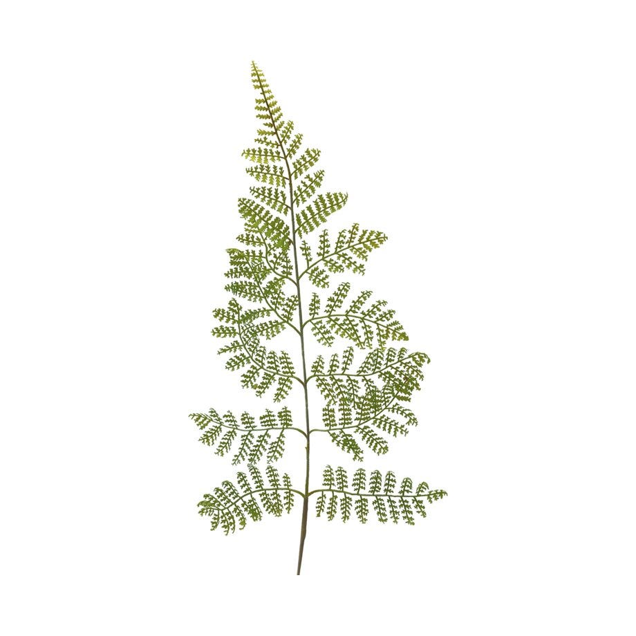 Mr Plant Bregne