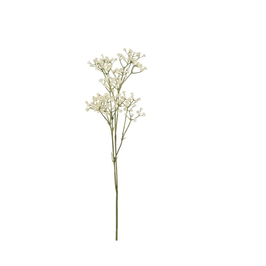Mr Plant Brudeslør