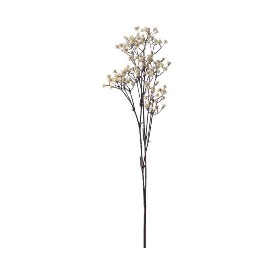 Mr Plant Brudeslør