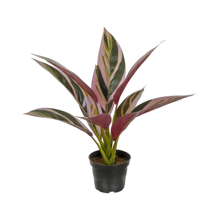 CORDYLINE Kunstig plante H38 cm i Grønn