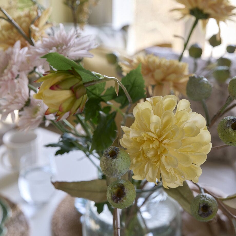 Mr Plant Dahlia