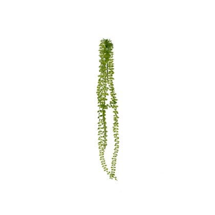 Dischidia kunstig plante H70