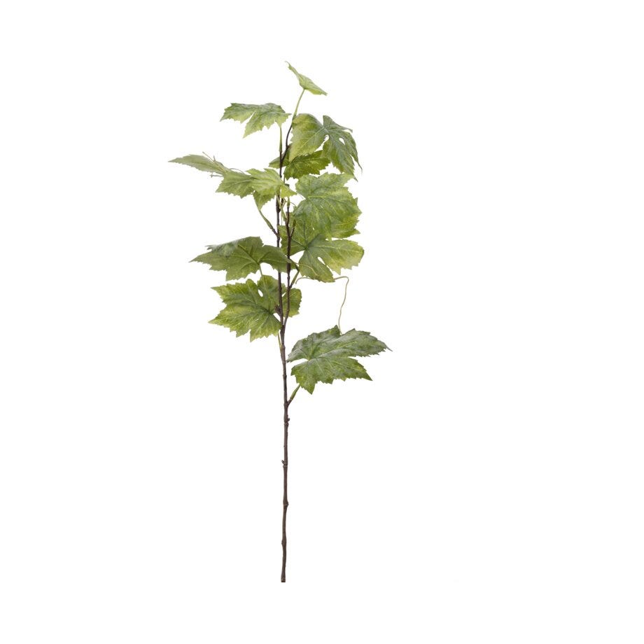 Mr Plant Druekvist