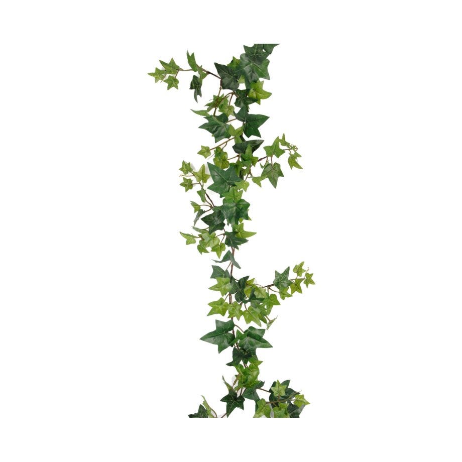 Mr Plant Eføy