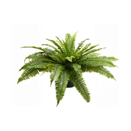 Eføy kunstig plante H40