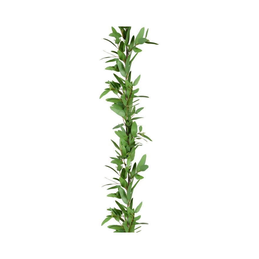 EUCALYPTUS Kunstig plante H5 cm i Grønn