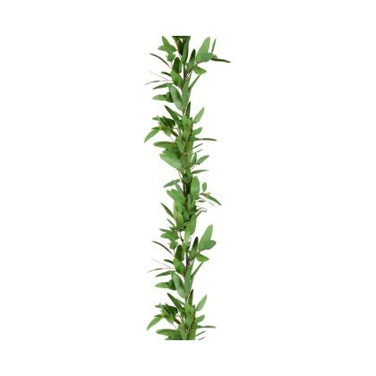 Eucalyptus girlander H180
