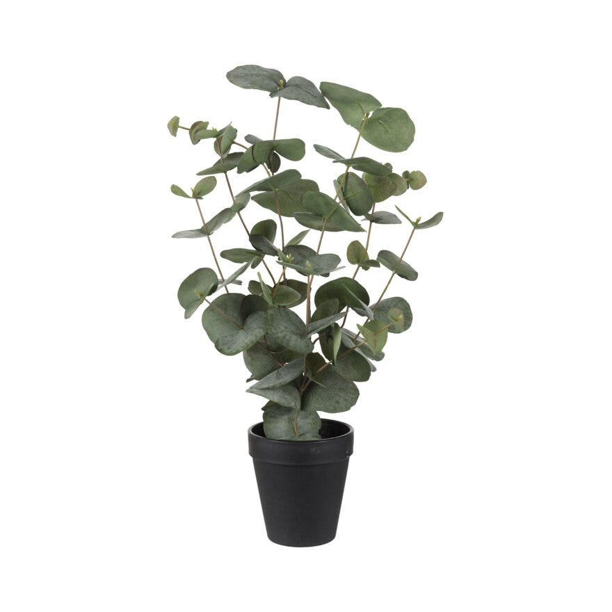 EUCALYPTUS Kunstig plante H55 cm i Grønn