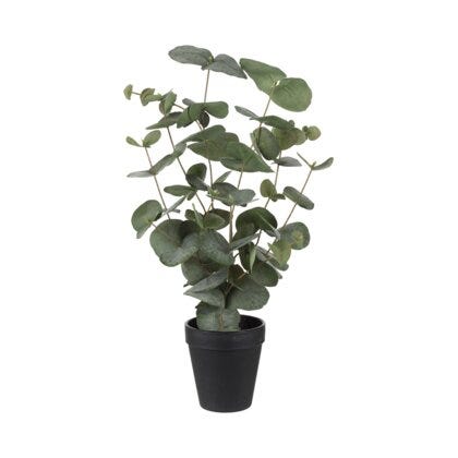 Eucalyptus kunstig plante H55