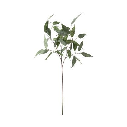 Eucalyptus kvist H110