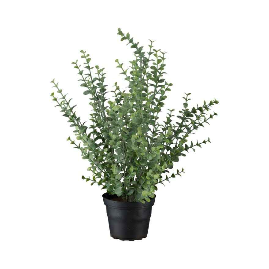 EUCALYPTUS Kunstig plante H40 cm i Grønn