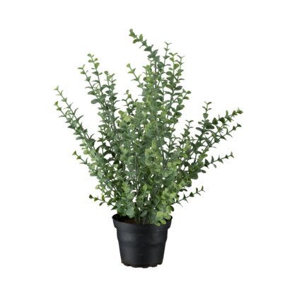 Eucalyptus kunstig plante H40