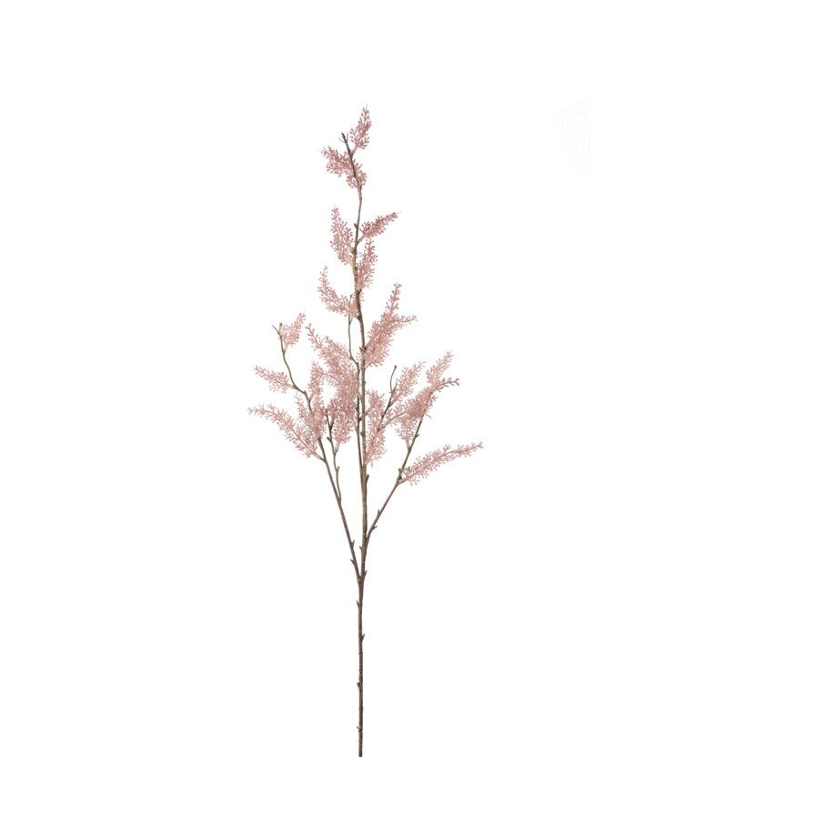 Mr Plant Eukalyptuskvist