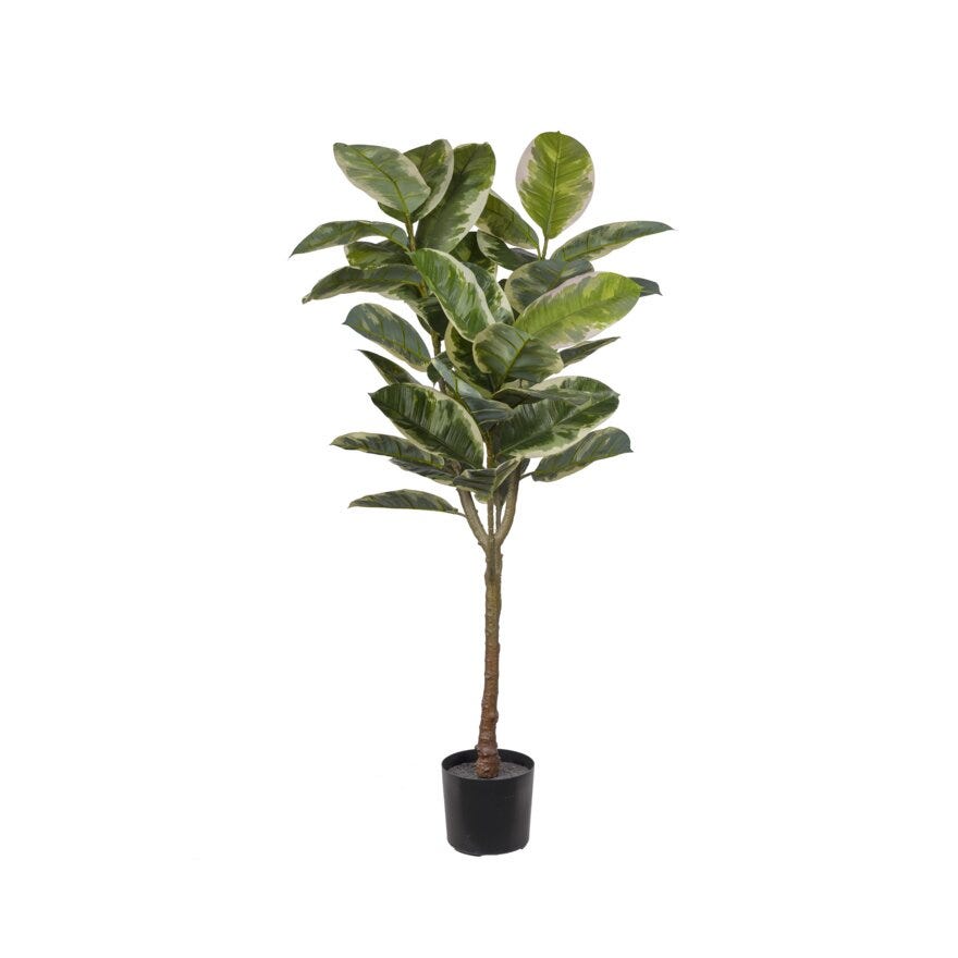 FIKUS ELASTICA Kunstig plante H:150 cm i Grønn