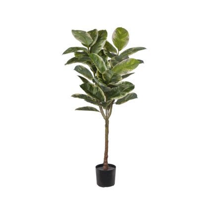 Ficus Elastica kunstig plante H150