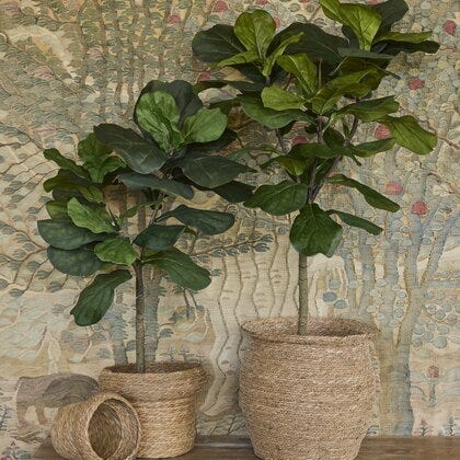 Fiolficus kunstig plante H150