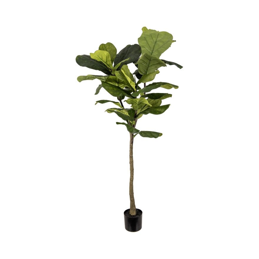 Mr Plant FIOLFICUS Kunstig plante H150 cm i Grønn