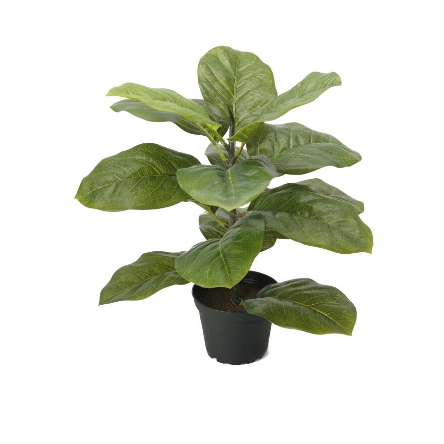 FIOLFIKEN Kunstig plante H40 cm i Grønn