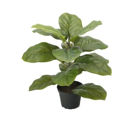 Fiolfiken kunstig plante H40