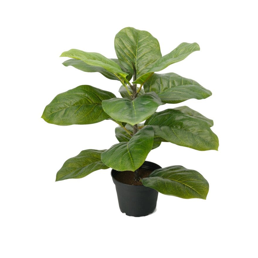 FIOLFIKEN Kunstig plante H40 cm i Grønn