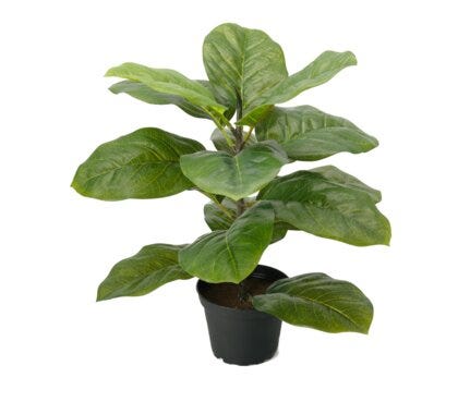 Product gallery image