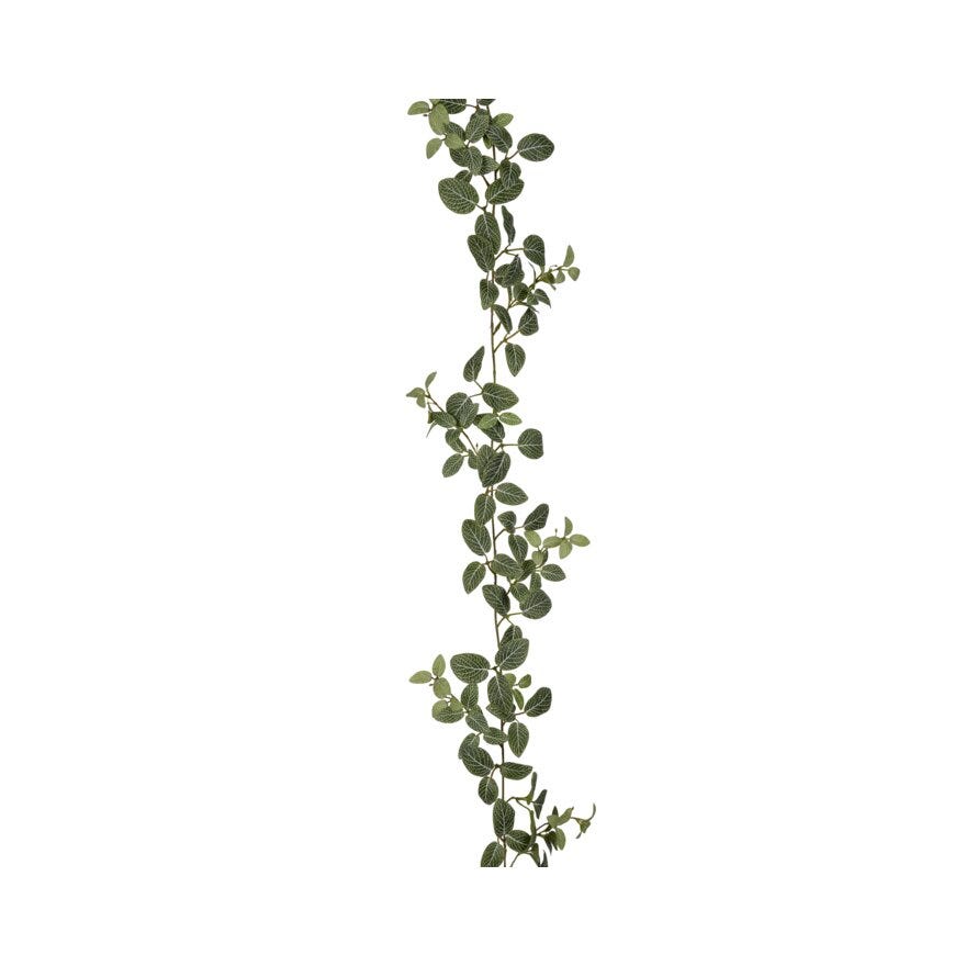 FITTONIA Kunstig plante H:12 cm i Grønn
