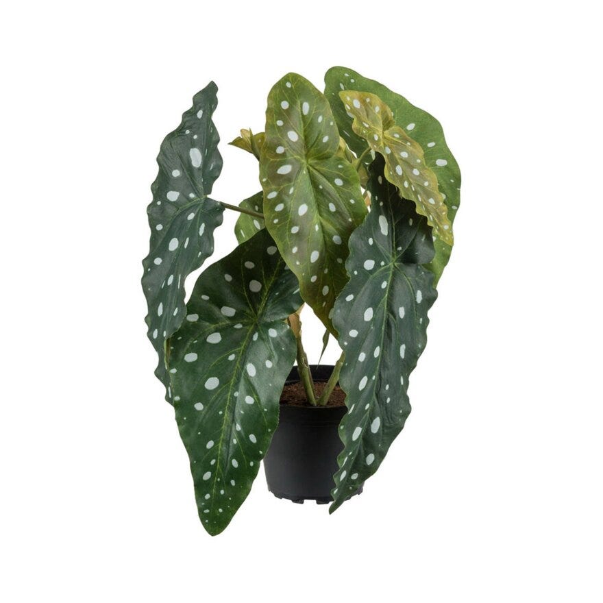 FORELL BEGONIA Kunstig plante H30 cm i Grønn