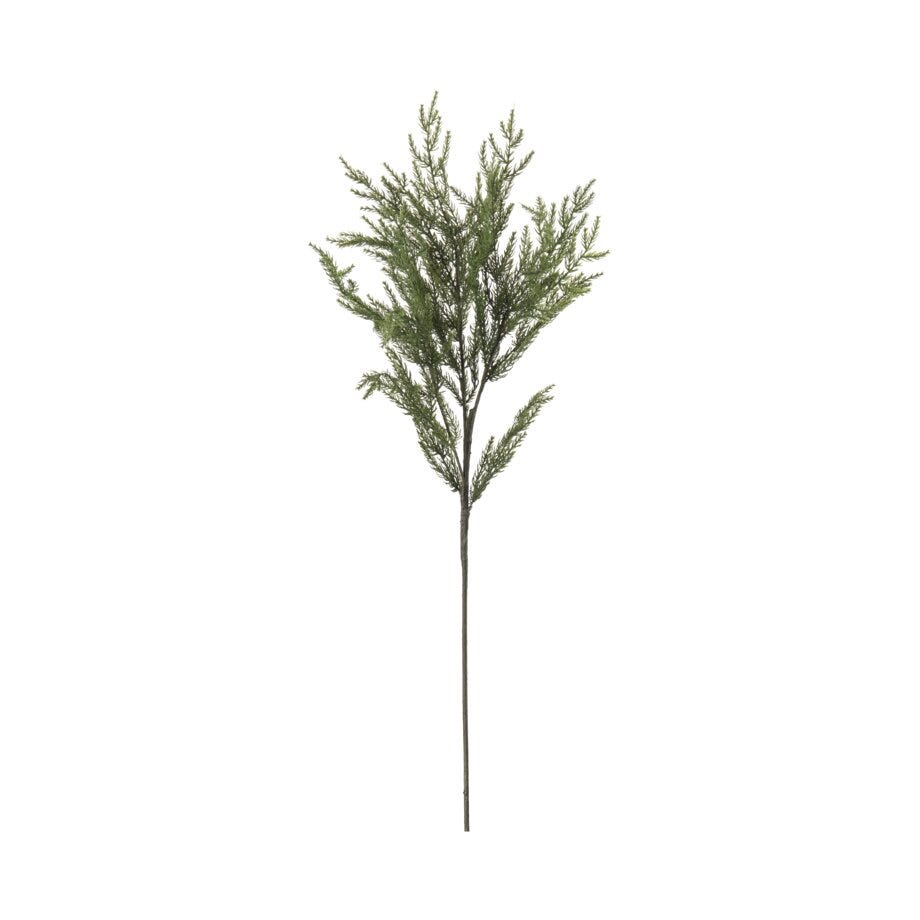 Mr Plant Gran