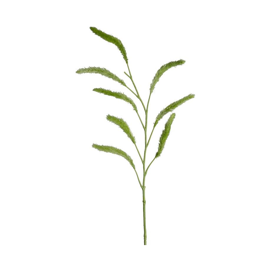 Mr Plant Gress