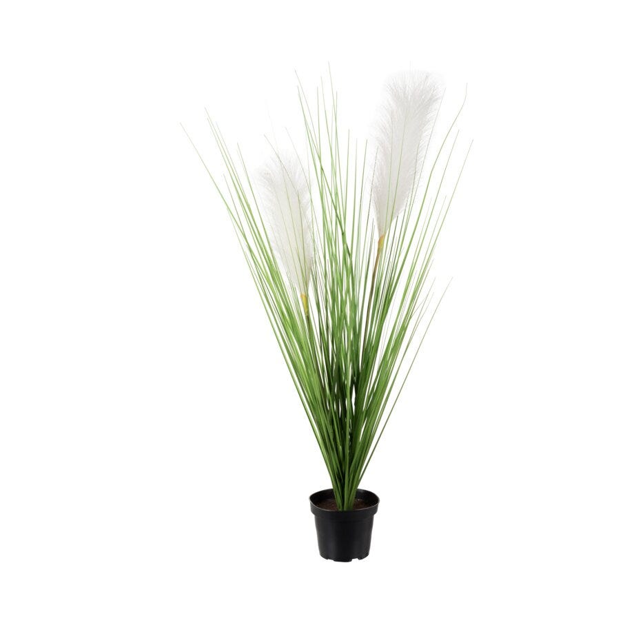 Mr Plant Gress