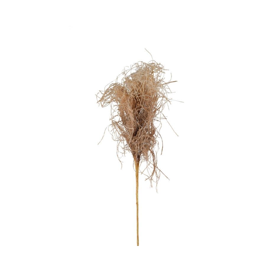Mr Plant Gress