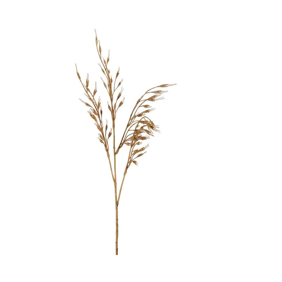 Mr Plant Gress