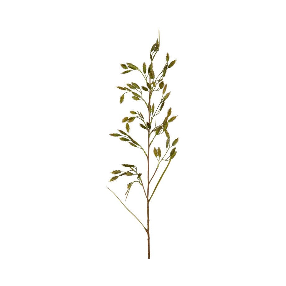 Mr Plant Gress