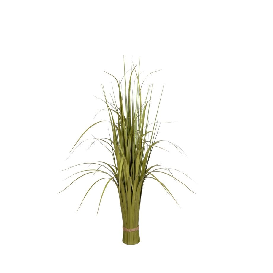 Mr Plant Gress