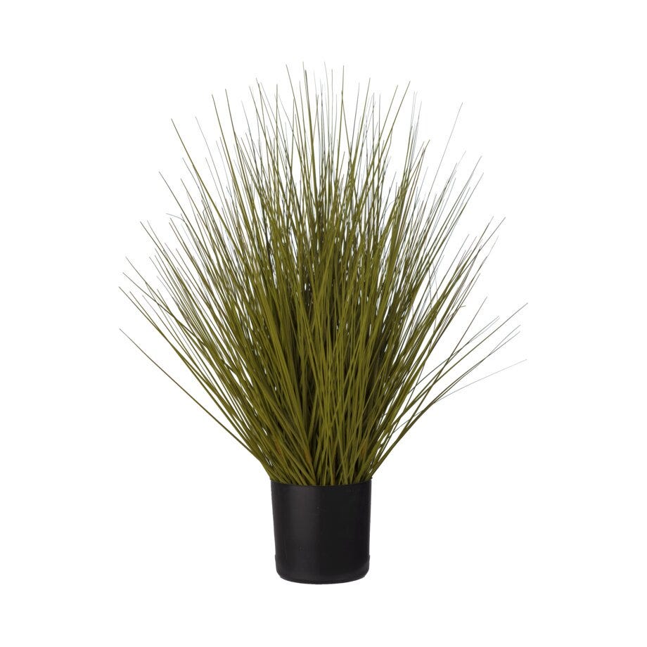 Mr Plant Gress