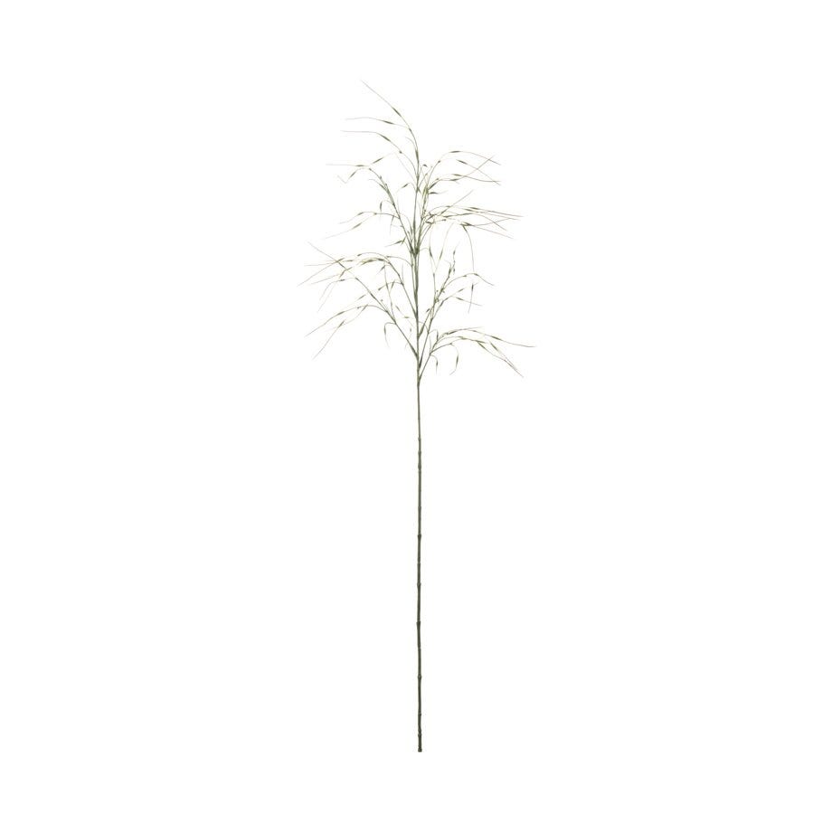 Mr Plant Gress