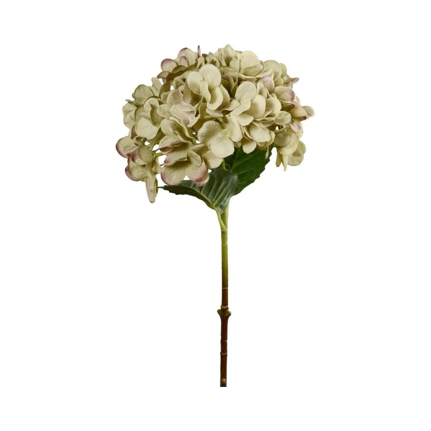 Mr Plant HORTENSIA Kunstig blomst H48 cm i Beige/natur